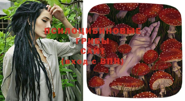 спиды Лихославль